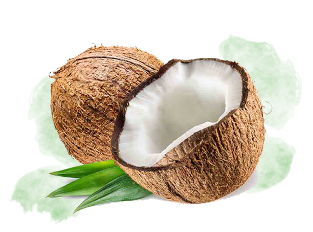 Coconut Oil