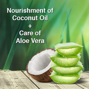 Nourishment of Coconut & Care of Aloe Vera