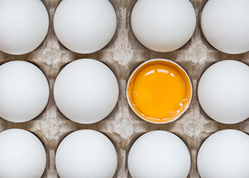 Chicken egg is half broken among other eggs