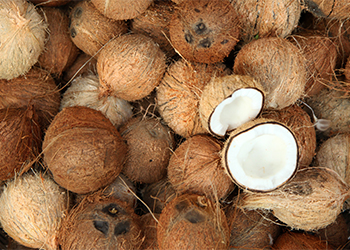 Natural Dandruff Treatment