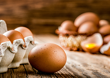 Eggs for dry and frizzy hair