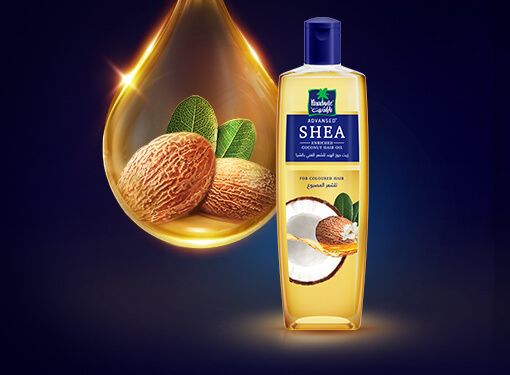 Shea & Coconut Hair Oil