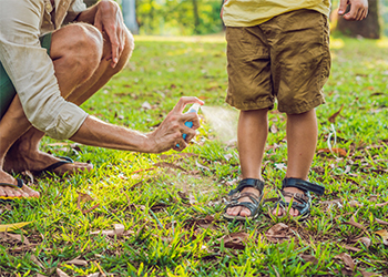 Make a Non-toxic Insect Repellent